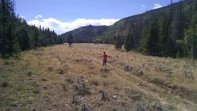 Roosevelt National Forest — photo 7