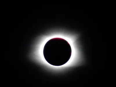 The Great Smoky Mountain Solar Eclipse — photo 6