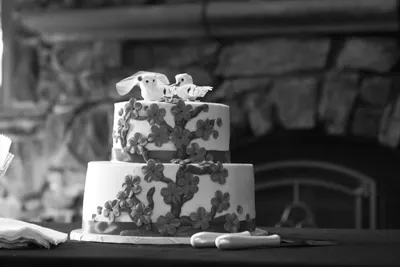 Wedding — photo 3